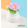Chậu s2