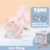 Lợn hồng